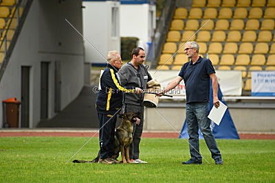 Maxxi von der Hagenmühle