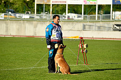 Mecberger Lassie