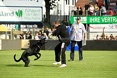 Megaira von der Rußhütte