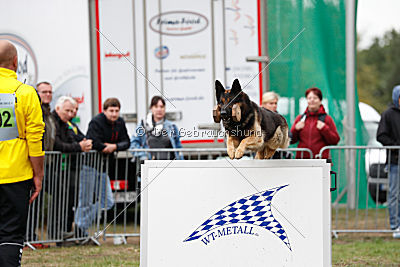 Mika vom Siebenbannstein