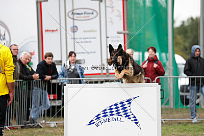 Mika vom Siebenbannstein