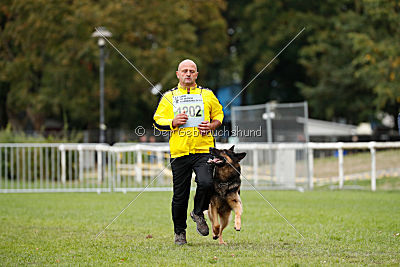Mika vom Siebenbannstein