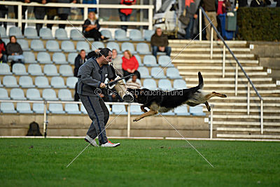 Mika vom Siebenbannstein