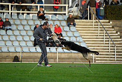 Mika vom Siebenbannstein