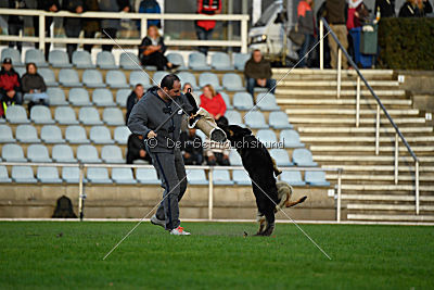 Mika vom Siebenbannstein