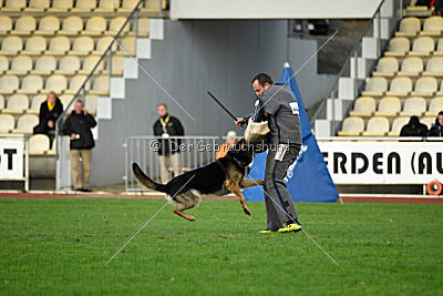 Mika vom Siebenbannstein