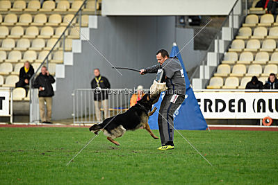 Mika vom Siebenbannstein