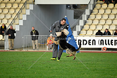 Mika vom Siebenbannstein
