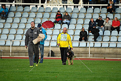 Mika vom Siebenbannstein