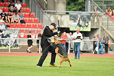 Milan Tringensteiner Schelderwald