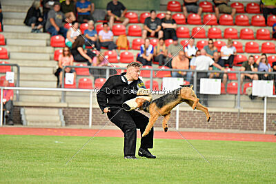 Milan Tringensteiner Schelderwald