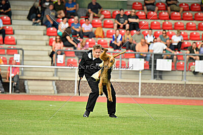 Milan Tringensteiner Schelderwald