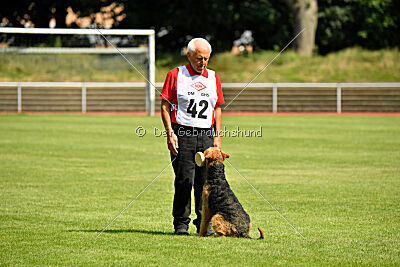 Milan Tringensteiner Schelderwald