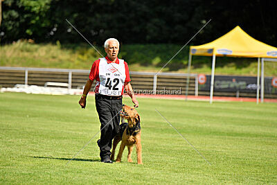 Milan Tringensteiner Schelderwald