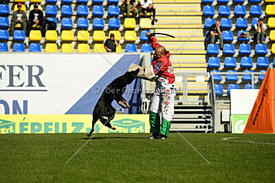 Milly aus der Königshöhle