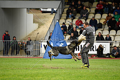 Miro von der alten Schmiede