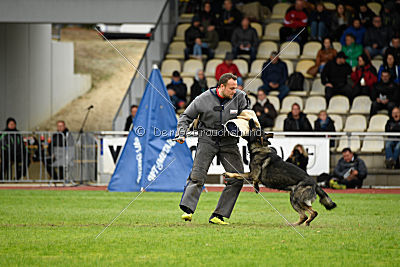 Miro von der alten Schmiede