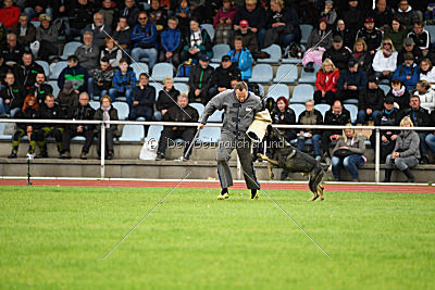 Miro von der alten Schmiede