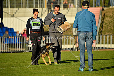 Molly vom Kretzschauer Land