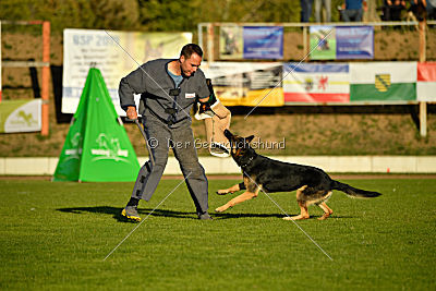 Molly vom Kretzschauer Land