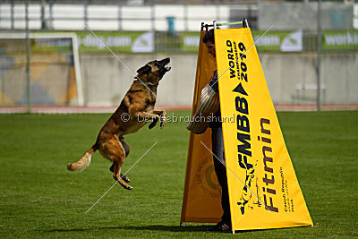 Monty Extra Temperament