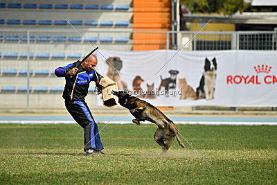 Musca van de Duvetorre