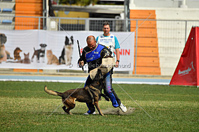 Musca van de Duvetorre