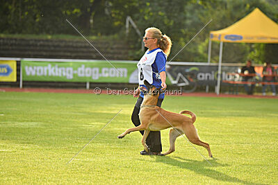 My Destiny du Baudet Rouge