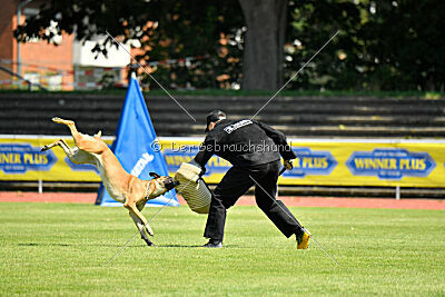 My Destiny du Baudet Rouge