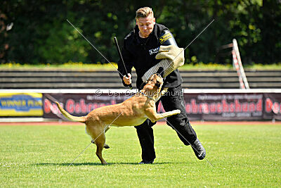 My Destiny du Baudet Rouge