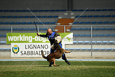 My's Lya Elliot av Eske