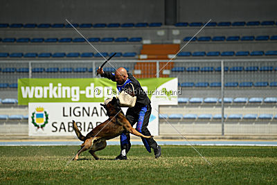 My's Lya Elliot av Eske