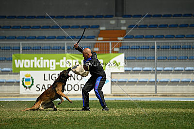 My's Lya Elliot av Eske