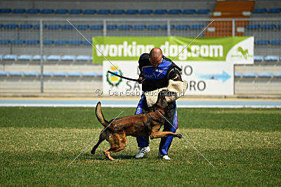 My's Lya Elliot av Eske