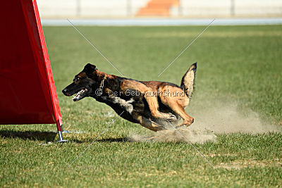 My's Lya Elliot av Eske