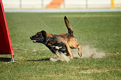 My's Lya Elliot av Eske