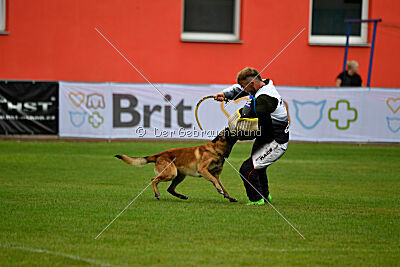 Mythos des Soldats de Krist Ale