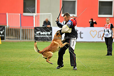 Mythos des Soldats de Krist Ale