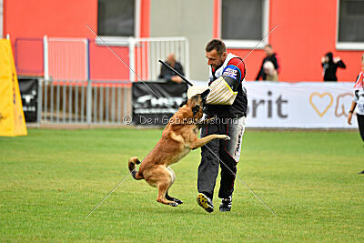 Mythos des Soldats de Krist Ale