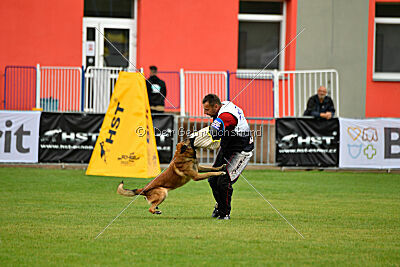 Mythos des Soldats de Krist Ale