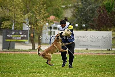 Mythos des Soldats de Krist Ale