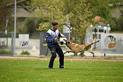 Mythos des Soldats de Krist Ale