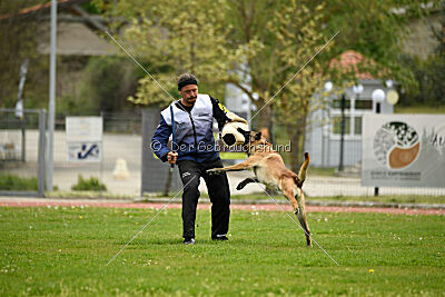 Mythos des Soldats de Krist Ale