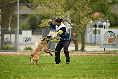 Mythos des Soldats de Krist Ale