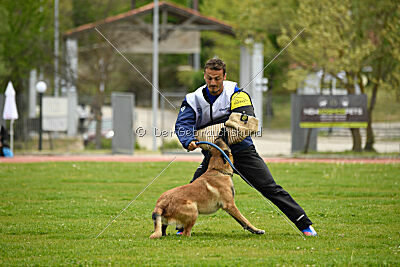 Mythos des Soldats de Krist Ale