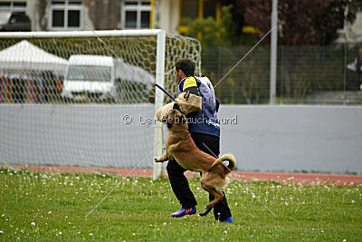 Mythos des Soldats de Krist Ale