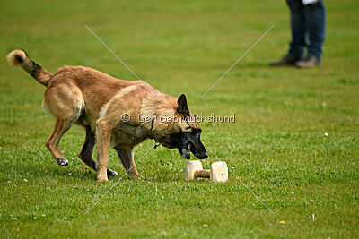 Mythos des Soldats de Krist Ale