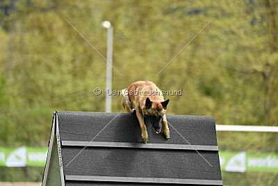 Mythos des Soldats de Krist Ale