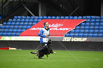 N-Greg von Berg Israel