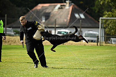 Nando von der Barenau